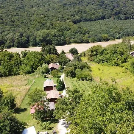 Dutch Hill Bed & Breakfast