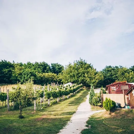 Dutch Hill * Zalacsány